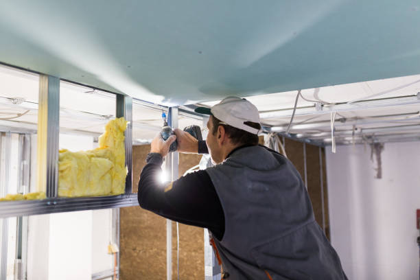 Best Insulation Materials and Products in Lmar, DE
